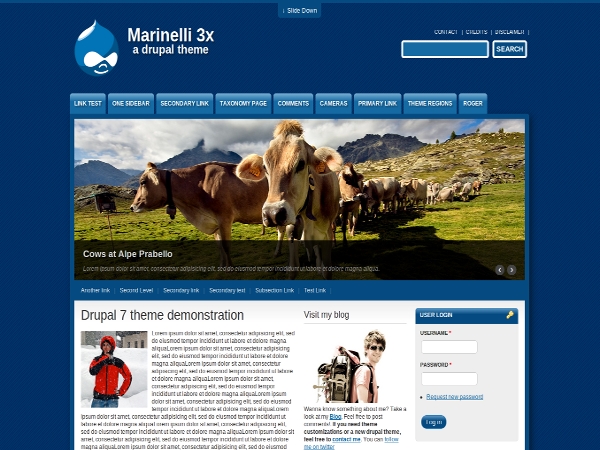 Drupal Marinelli Theme