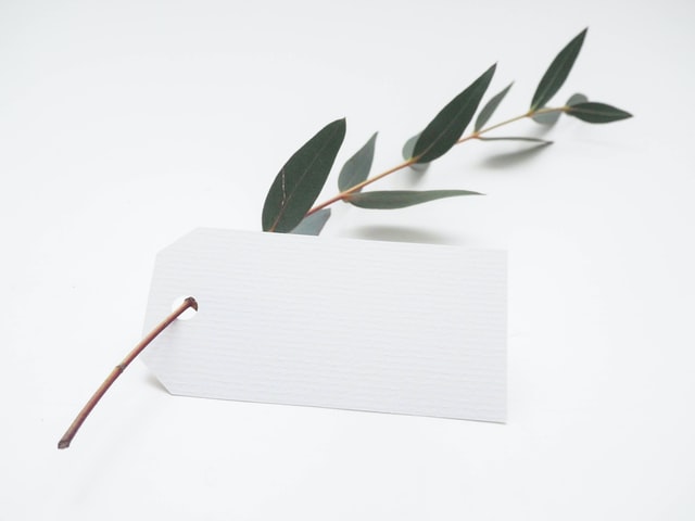 An olive branch (representational image). Improved Cx translates to improved business. Credit: Helena Hertz