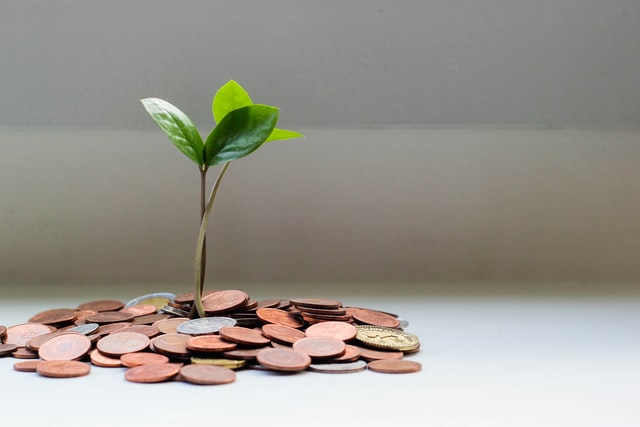 Growth, Photo Credit: Visual Stories || Micheile