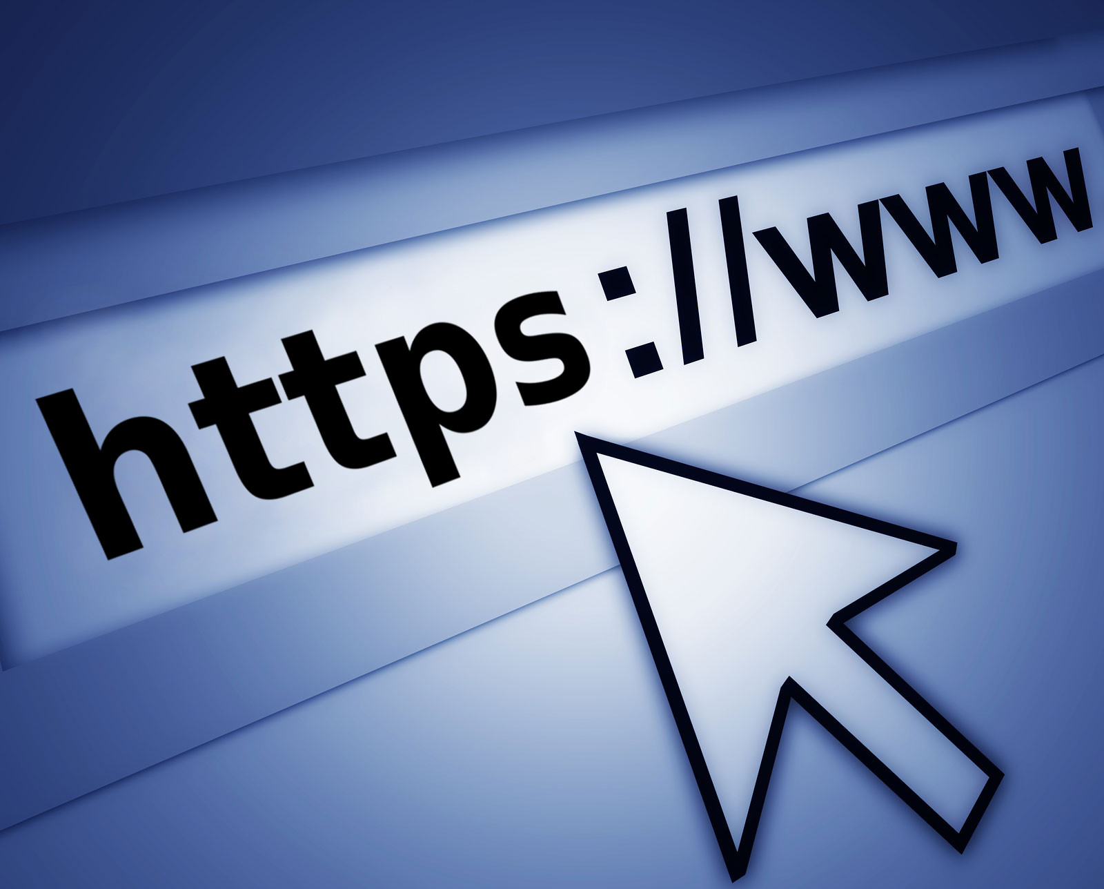 secure web
