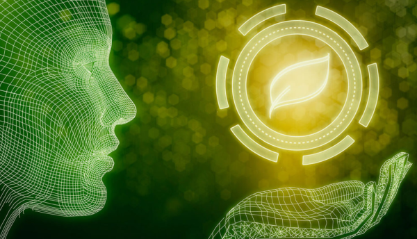 AI-sustainability