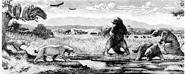 The Tar Pit
