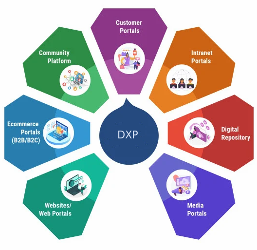 DXPs